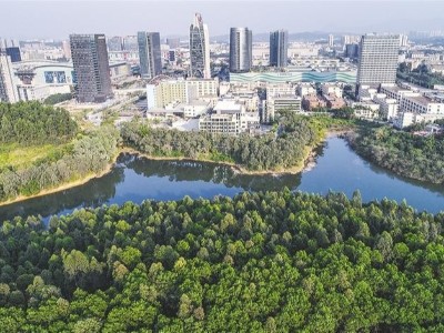 深圳市龍崗區平湖街道清掃清運及轉運站管理服務(wù)項目