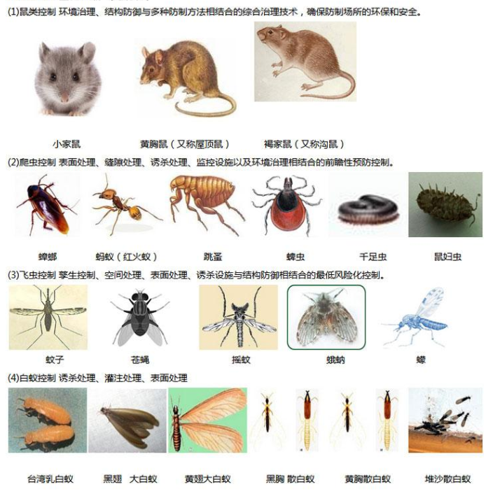 蟲(chóng)害的治理1